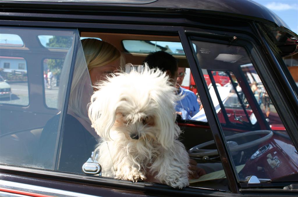 2010-08-08 Oldtimertreffen beim Clubkollegen Kranz